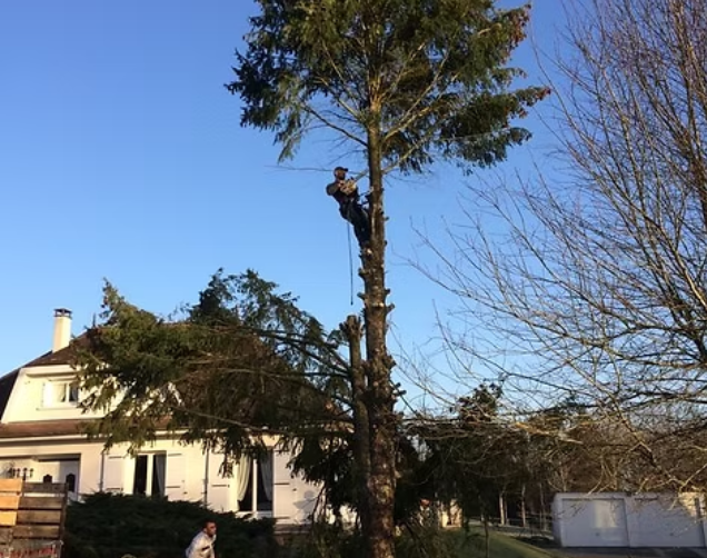 Tronçonnage de bois